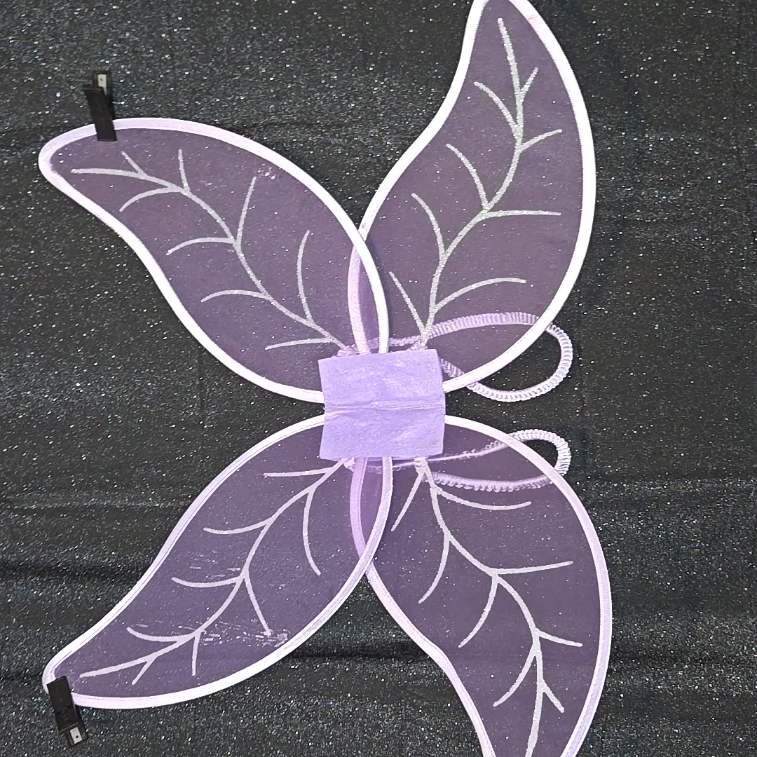 Fairy Wings